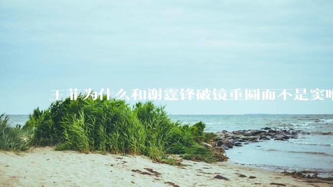 王菲为什么和谢霆锋破镜重圆而不是窦唯？