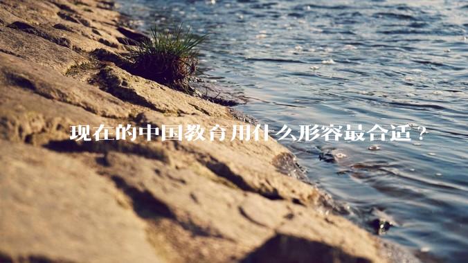 现在的中国教育用什么形容最合适?